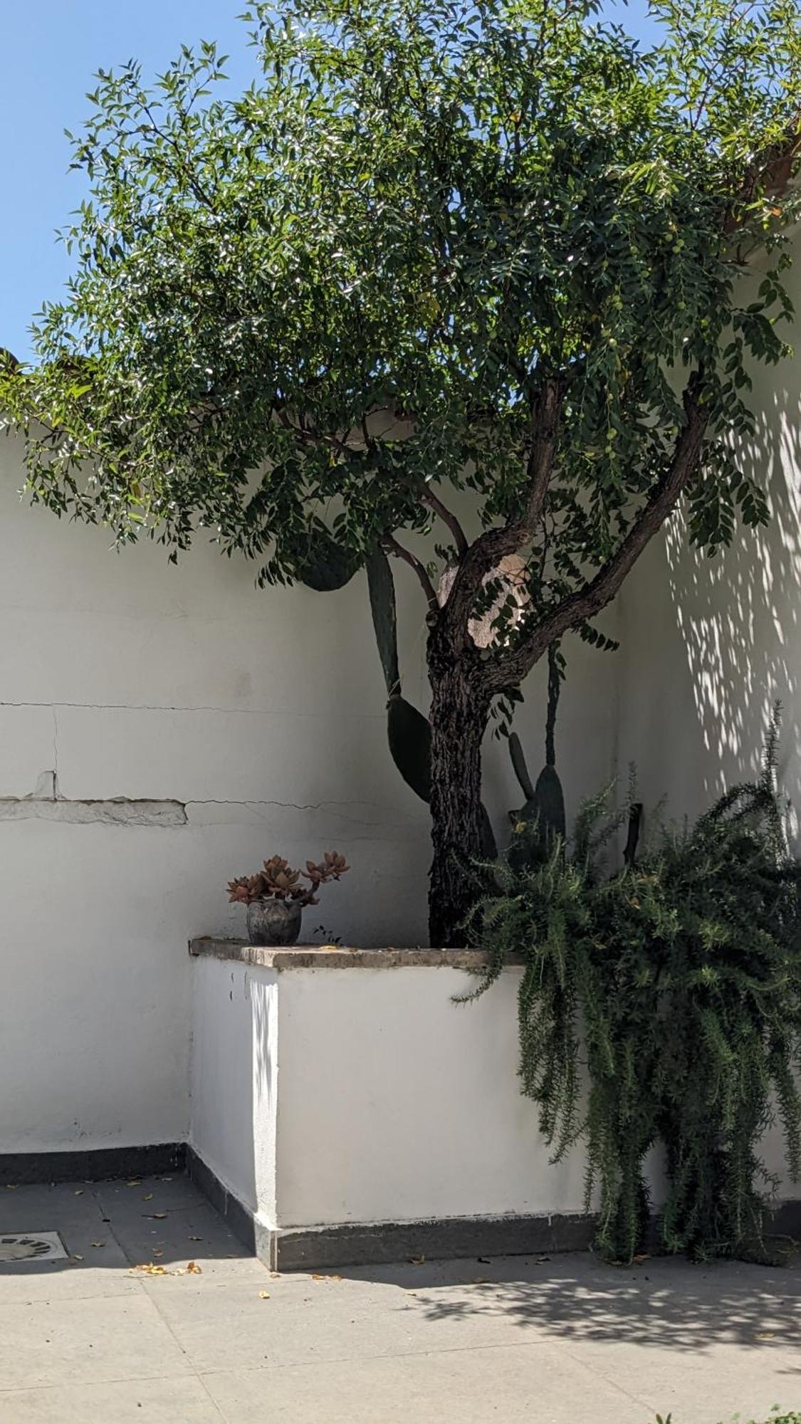 The Cosy Nest Apartment Pignataro Maggiore Exterior foto